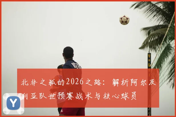 北非之狐的2026之路：解析阿尔及利亚队世预赛战术与核心球员