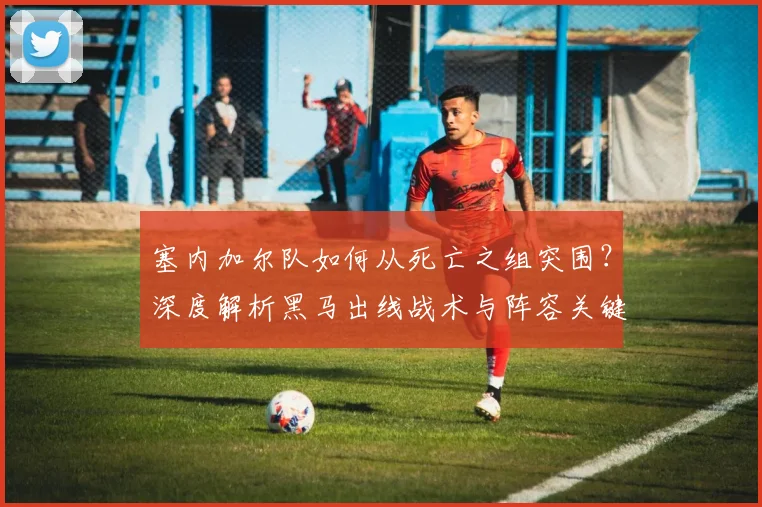 塞内加尔队如何从死亡之组突围？深度解析黑马出线战术与阵容关键